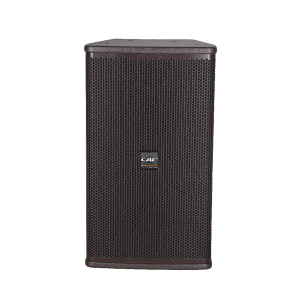 SE-10 Altavoz de Rango Completo 10 Pulgadas 300W RMS - Image 4