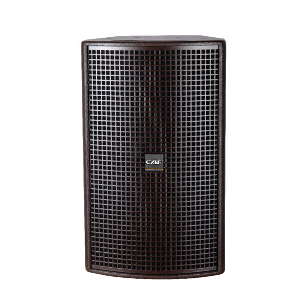 ZEUS-10W Altavoz de Rango Completo 10 Pulgadas 300W RMS